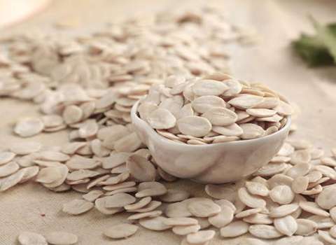 آموزش خرید مغز تخمه روغنی صفر تا صد