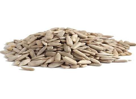 مشخصات مغز تخمه آفتابگردان شور و نحوه خرید عمده