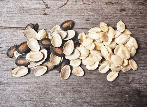 قیمت خرید عمده مغز تخم هندوانه ارزان و مناسب