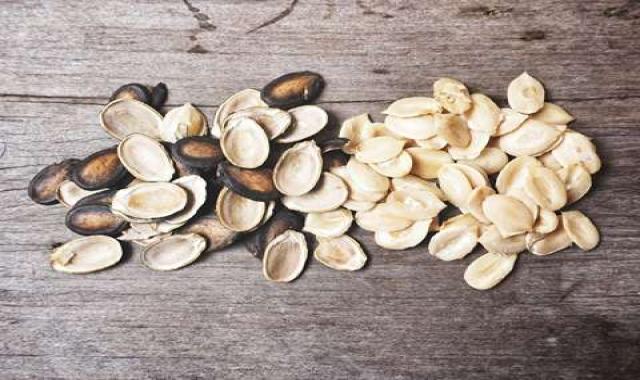 قیمت خرید عمده مغز تخم هندوانه ارزان و مناسب