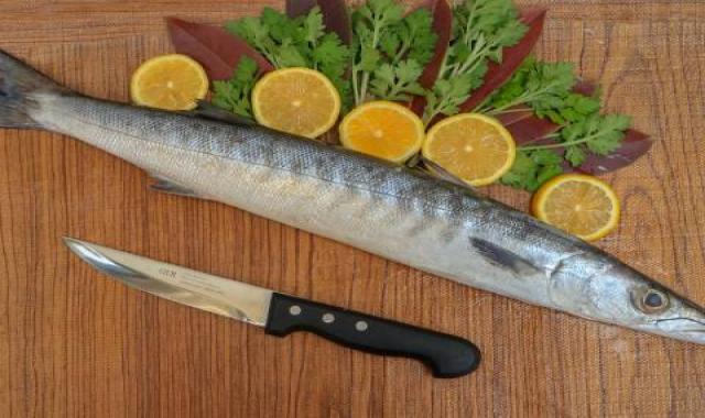 ماهی چنگو دم سیاه مغزی جنوب قیمت مناسب کد 62