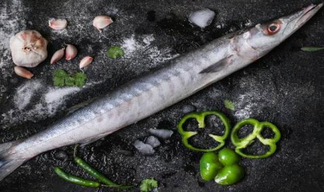 ماهی چنگو دولمی غرفه ماهیکده هرمزگان مناسب کباب  کد 66