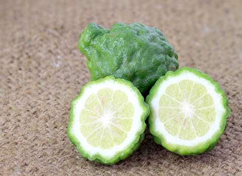 قیمت و خرید بالنگ ترش با مشخصات کامل