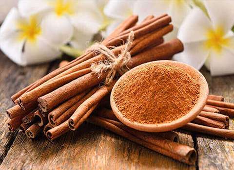 قیمت و خرید دارچین خارجی با مشخصات کامل