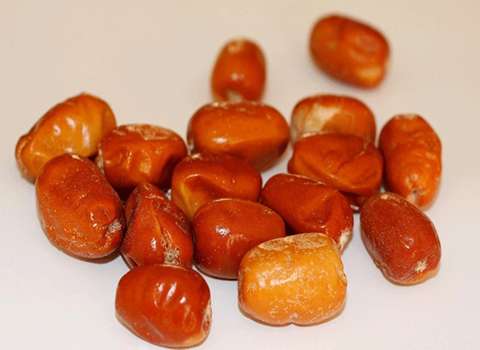 خواص سنجد برای لاغری و تناسب اندام بعد از زایمان