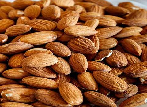 بادام کوهی شور درجه یک صادراتی در همدان کد 23