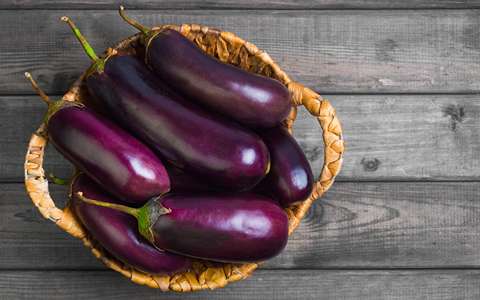 خرید عمده بادمجان ریز قلمی با بهترین شرایط