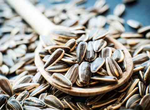 طرز بو دادن تخمه در ماهیتابه به روش سنتی