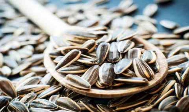 طرز بو دادن تخمه در ماهیتابه به روش سنتی