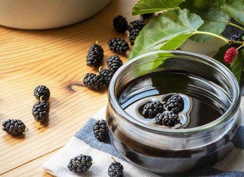 لیست قیمت شیره شاه توت به صورت عمده و با صرفه