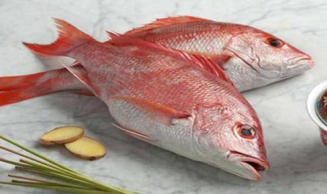 ماهی سرخو تازه جنوب قیمت مناسب کد 22
