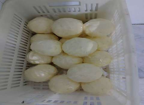 کره محلی گوسفندی همراه با توضیحات کامل و آشنایی