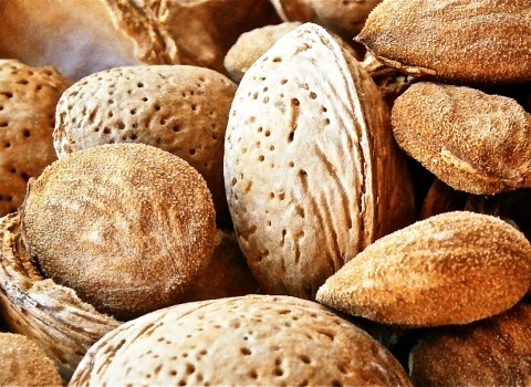 بادام کوهی ریز ارگانیک خوزستان کد 03