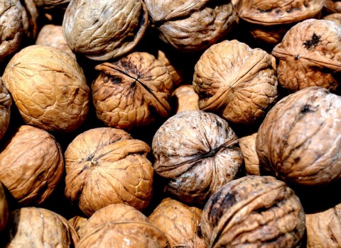 گردو و اوره خون برای بیماری نقرس کد 03