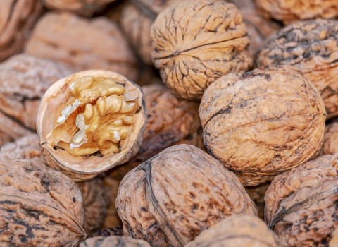 گردو و اوره خون درمان خانگی نقرس کد 09