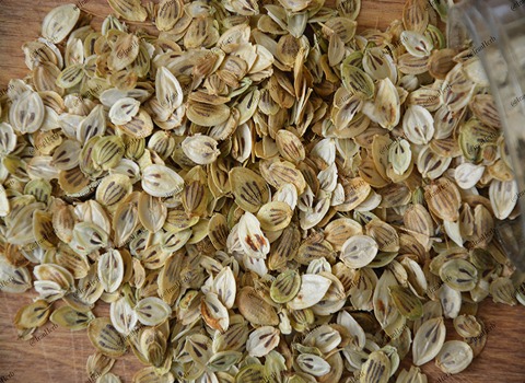 گلپر و فشار خون تاثیراتی که در سلامتی فرد می گذارد کد 41