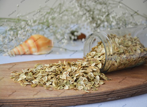 گلپر و فشار خون از دیدگاه پزشکی طب سنتی کد 11