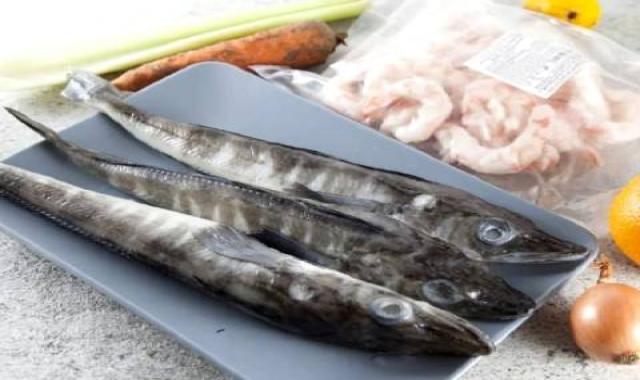 ماهی چنگو تازه دم سیاه ارزان در خوزستان کد 92