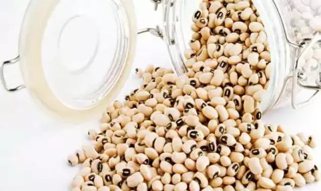 آموزش خرید لوبیا چشم بلبلی گلها صفر تا صد