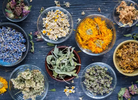 گیاه دارویی برای فشار چشم و روش های درمان کد 07