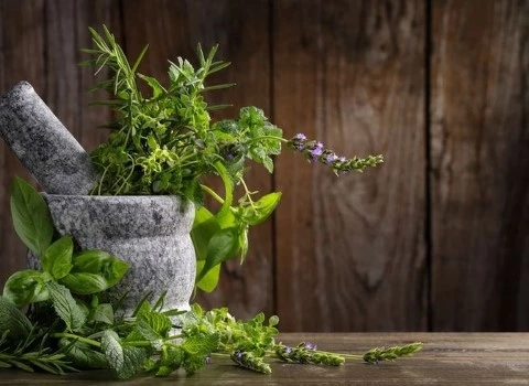 گیاه دارویی برای فشار چشم خشک تازه کد 01