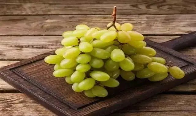 خرید عمده انگور فرانسوی با بهترین شرایط