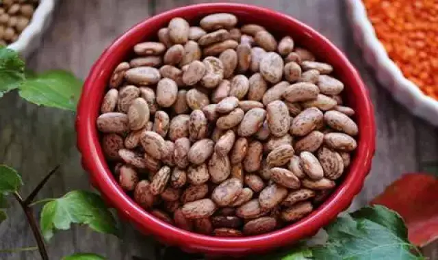 قیمت و خرید لوبیا چیتی 800 گرمی فردینه با مشخصات کامل