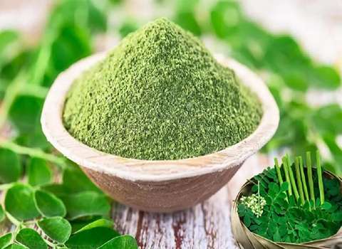 مورینگا عطاری پودر شده مرغوب کد 65