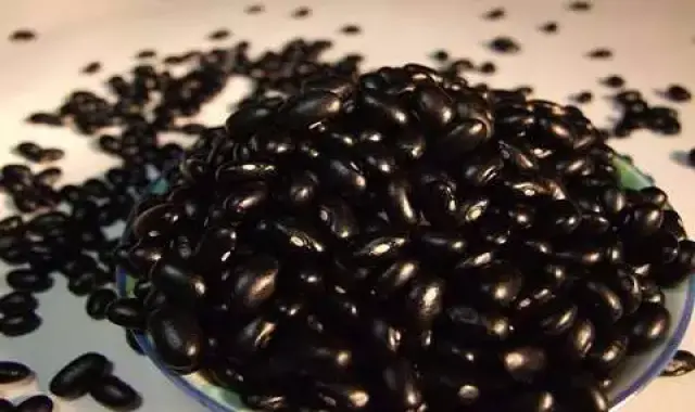 مشخصات لوبیا سیاه چینی و نحوه خرید عمده