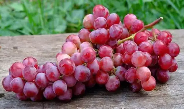 آموزش خرید انگور بیدانه قرمز ارومیه صفر تا صد