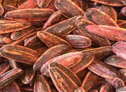 آموزش خرید تخمه آفتابگردان گوجه ای صفر تا صد