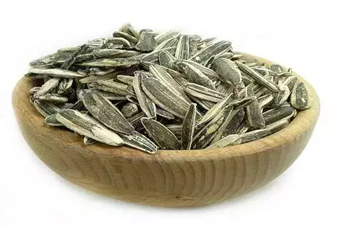 آموزش خرید تخمه آفتابگردان گلپری صفر تا صد