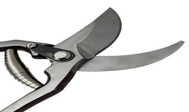 قیمت و خرید قیچی باغبانی ایرانی با مشخصات کامل