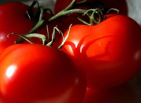 گوجه برای سرماخوردگی با کیفیت عالی ارزان کد 29