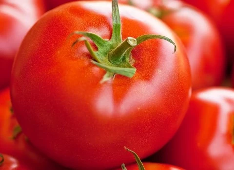 گوجه برای سرماخوردگی تازه ارگانیک در تهران کد 23