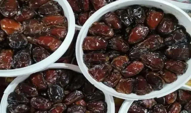 خرمای کبکاب تازه سطلی بوشهر قیمت عمده کد 84