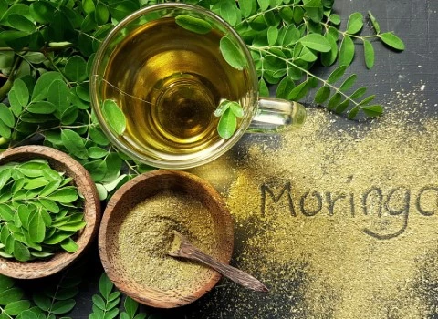 مورینگا عطاری دارویی عمده در ایران کد 03