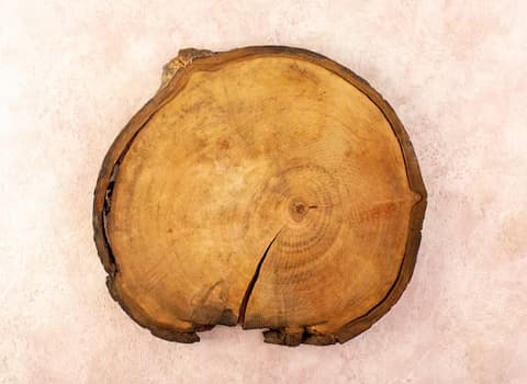 آموزش خرید چوب گردو چینی صفر تا صد