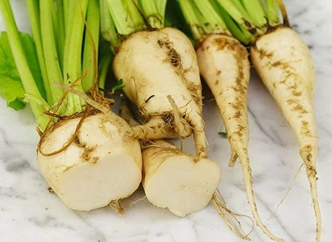 چغندر سفید درشت و خوشمزه قیمت مناسب در تهران کد 41