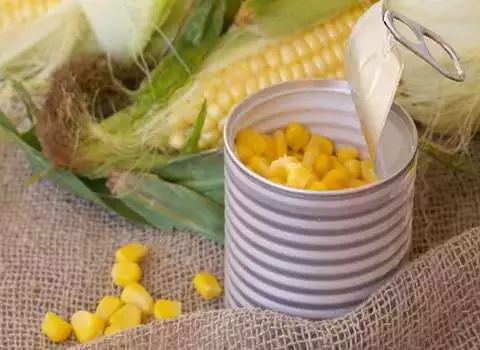 راهنمای خرید کنسرو ذرت ایرانی با شرایط ویژه و قیمت استثنایی