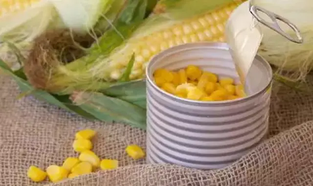 راهنمای خرید کنسرو ذرت ایرانی با شرایط ویژه و قیمت استثنایی