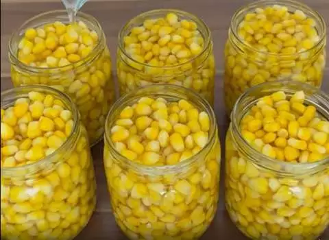 مشخصات کنسرو ذرت یک کیلویی و نحوه خرید عمده