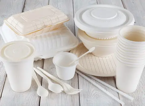 ظروف یکبار مصرف لاکچری گیاهی قیمت استثنائی در اصفهان کد 64