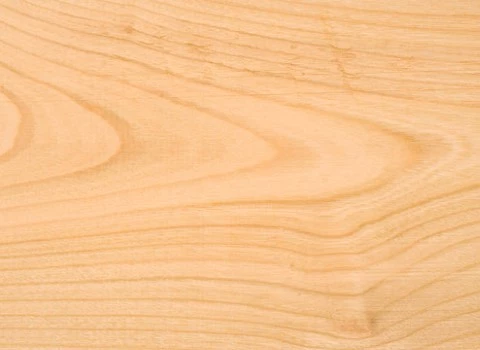 قیمت خرید عمده چوب راش تخته ارزان و مناسب