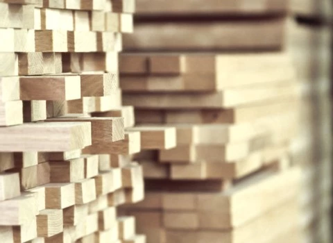 چوب راش خام آشنایی صفر تا صد قیمت خرید عمده