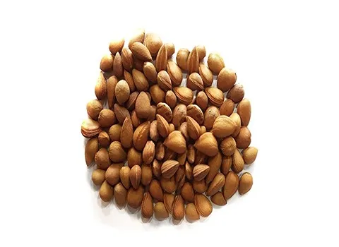 بادام کوهی تلخ محلی اعلا در تهران کد 58
