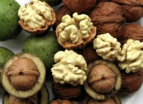 طرز تهیه گردو تازه در آب نمک به روش سنتی