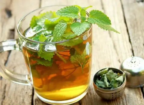 طبع نعناع دو آتیشه و خواص آن در تغذیه چیست؟