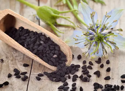 مزایای مصرف سیاه دانه برای دفع پروتئین چیست؟