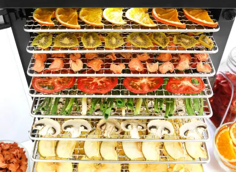 قیمت دستگاه فریز درایر خانگی برای خشک کردن میوه